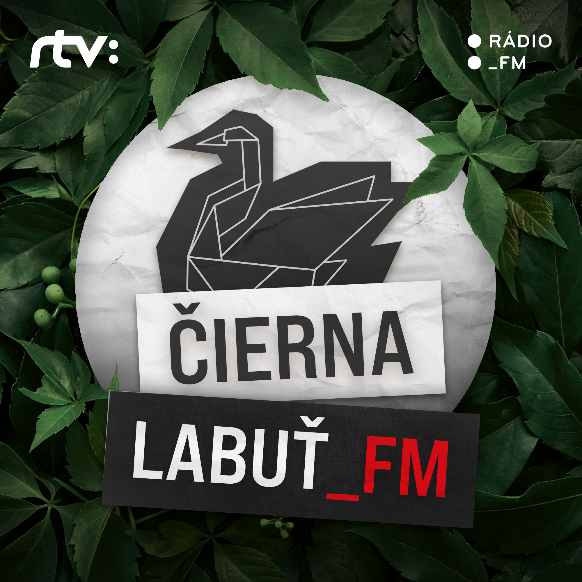 Čierna labuť_FM