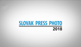 Slovak Press Photo - galavečer