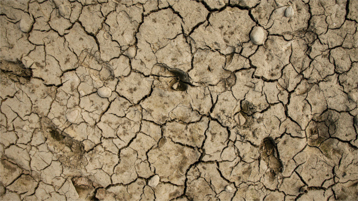 Alarming drought in Slovakia