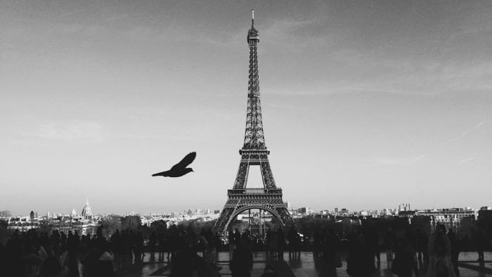 Eiffelova veža, príbeh neuveriteľnej stávky