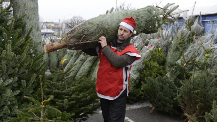Les ventes d’ arbres de Noël naturels augmentent d’une année à l’autre