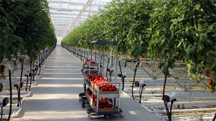 Die Zukunft der Bergwerke: Tomaten statt Braunkohle