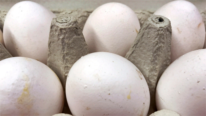 Kontaminierte Eier in Hotels der Hauptstadt Bratislava