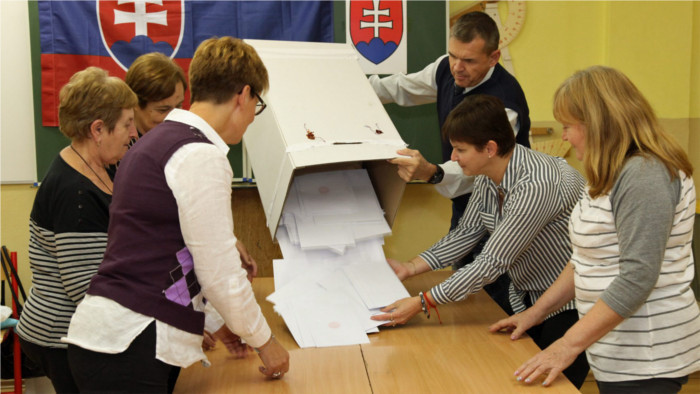 Almost 49% turnout in municipal elections 