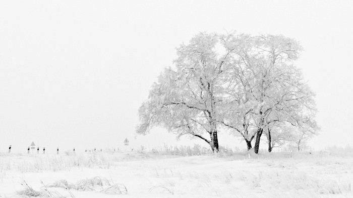Ivan Habaj: Sypal sa sneh na krajinu (1980)