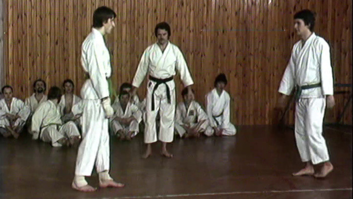 Karate-gi