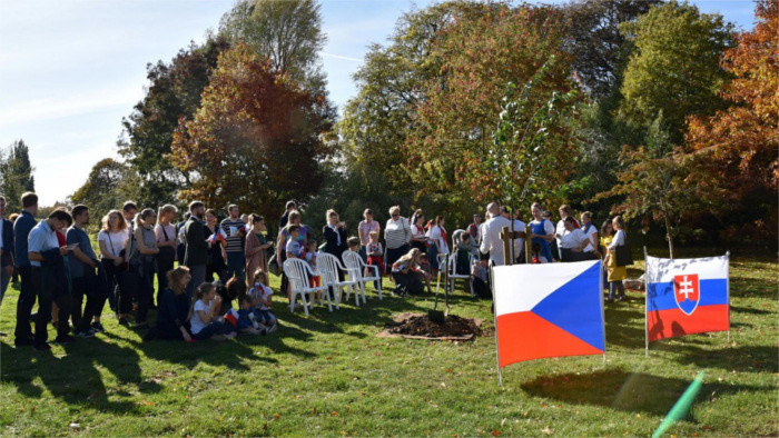 Planting a linden tree of friendship