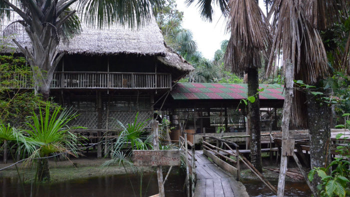 ayahuascovy tabor.JPG