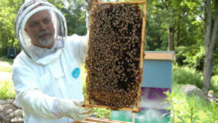 Ako sa stať včelárom