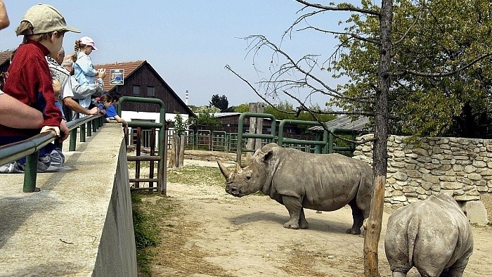 Братиславскому зоопарку – 60 лет