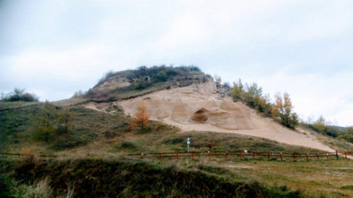 Prírodná rezervácia – Devínska Kobyla - Sandberg 