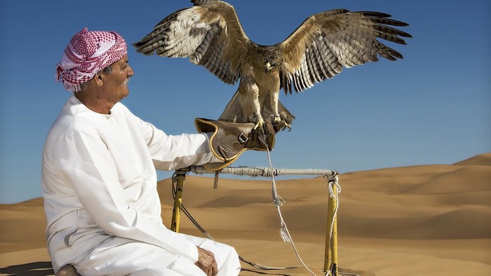 falcon desert.jpg