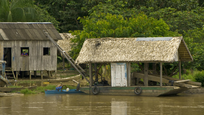 Amazonia 4.jpg