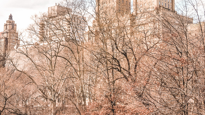 Central Park v zime.jpg