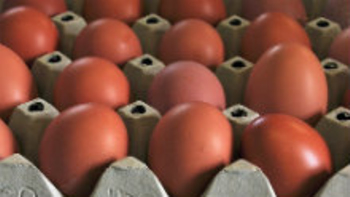 K veci: Kontaminované vajcia už aj na Slovensku