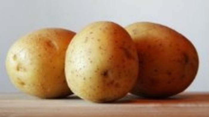 Súťaž v pečení Hiadlovského krumpľovníka