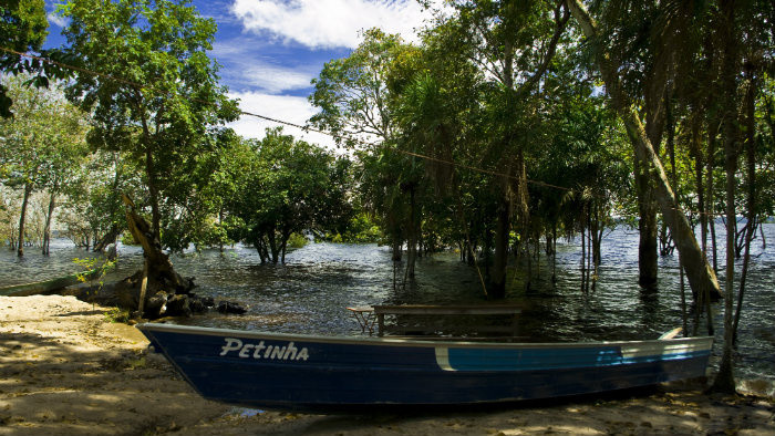 Amazonia 9.jpg