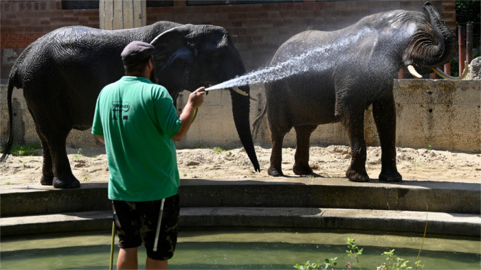 Бойницкий зоопарк стал участником международной программы EAZA