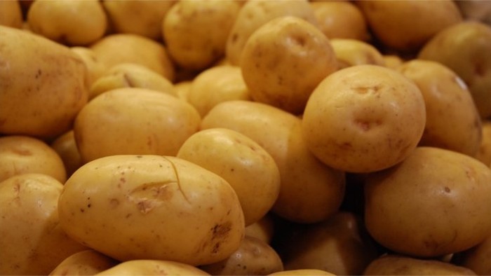 Súťaž v pečení tradičného Hiadlovského krumpľovníka