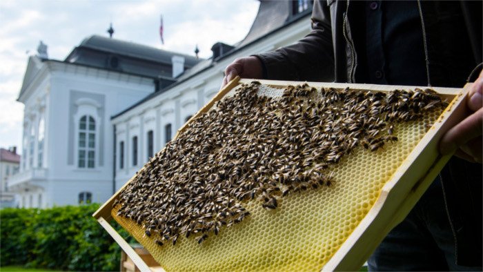 Les abeilles ont leur place importante dans la capitale slovaque