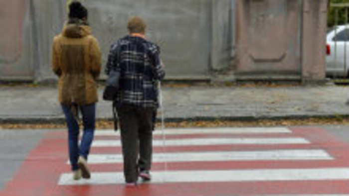 Prechádzka ulicami s nevidiacou a jej psíkom