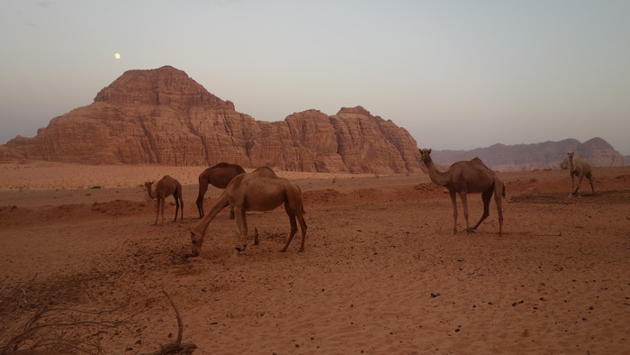Wadi Rum - večer.JPG