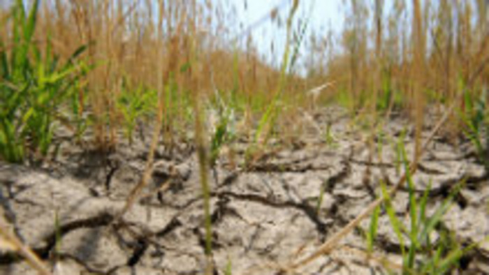 Štát sľubuje odškodné pre poľnohospodárov za vlaňajšie sucho