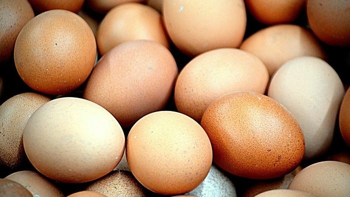 V zdravom tele – Vajcia
