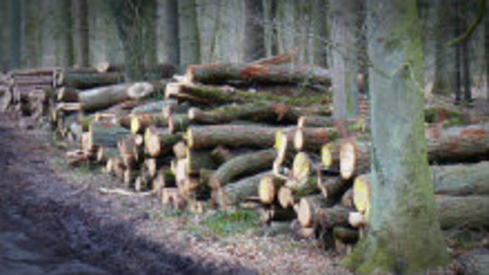 Zmeny v ťažbe dreva v rámci urbariátov