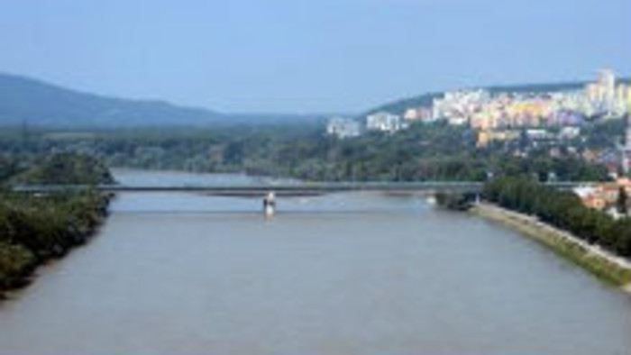 Zníženie hladiny Dunaja spôsobuje ťažkosti rybám 