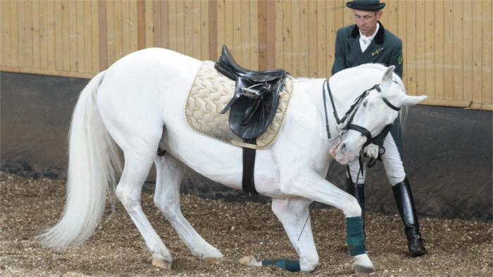 Los caballos de Lipizza son la novena inscripción de Eslovaquia en la lista de la UNESCO
