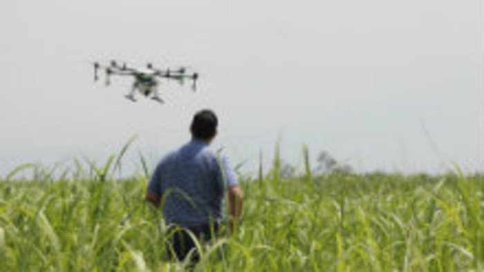 Drony v poľnohospodárstve