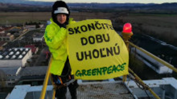 K veci: Greenpeace aktivisti za mrežami 