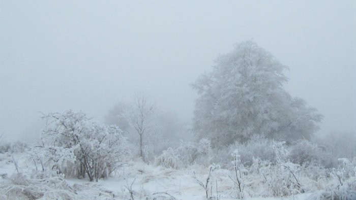 Zimy v Oravskej Lesnej už nie sú také tuhé ako v minulosti