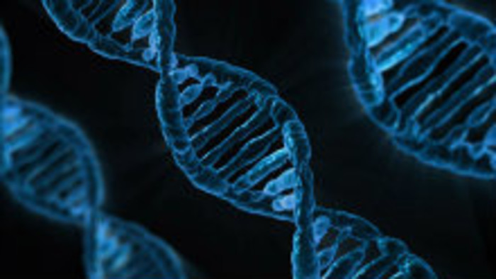 Test DNA zo slín odhalí aj náchylnosť na choroby