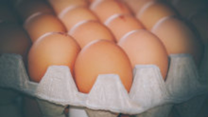Vajcia z nášho chovu sú menej rizikové