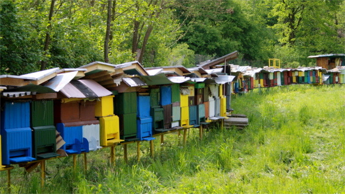 Los apicultores eslovacos protestan contra los plaguicidas