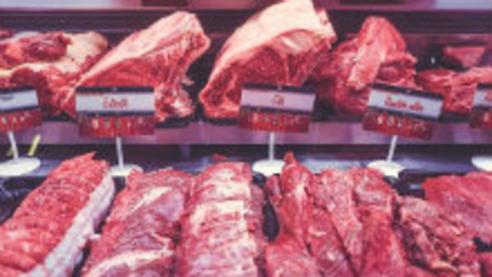 Aplikácia na zistenie pôvodu mäsa