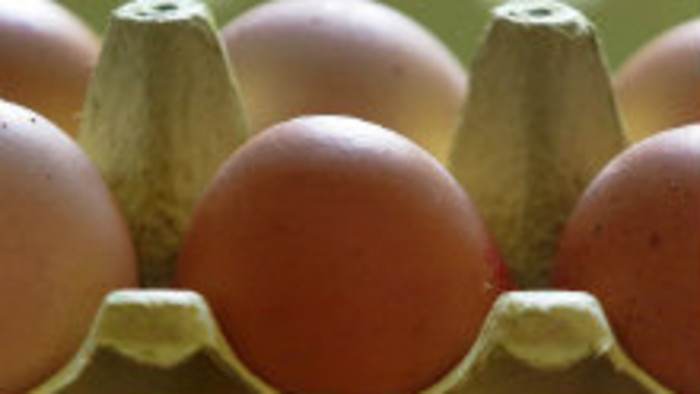 Klub farmárov: Čo spôsobuje nedostatok vajec na našom trhu