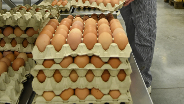 Budúcnosť predaja vajec na Slovensku   