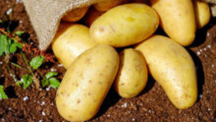 Ceny zemiakov sa vyšplhali na rekordné úrovne