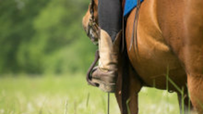 Glosa: Nepríjemné stopy po koníkoch 