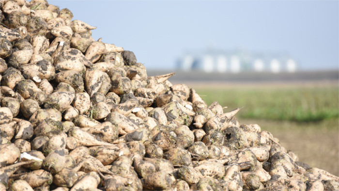 Ministra de Agricultura defiende en Bruselas a los productores de remolacha y al sector azucarero eslovaco 