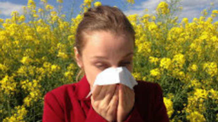 Glosa: Leto a alergie