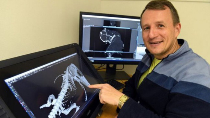 Košice based scientist study of dinosaur embryo brings new findings 