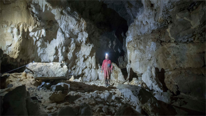 Дракон из Демяновской ледяной пещеры