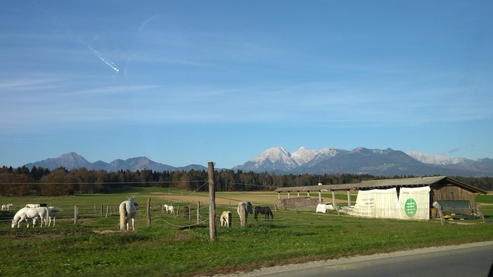 Alpy - Slovinsko.jpg