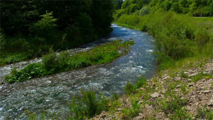 СР присоединяется к усилиям по восстановлению рек и водно-болотных угодий