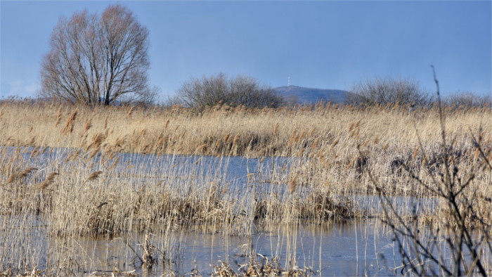 14 wetlands in Slovakia of international importance
