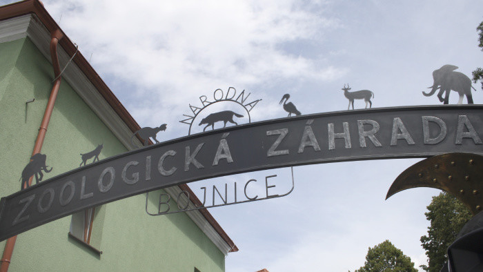 Bojnická zoo v čase pandémie deti vzdeláva v online priestore
